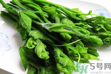 南瓜藤的功效作用有哪些？南瓜藤的食用價值是什么？