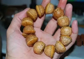 壯陽果怎么泡酒? 壯陽果泡酒的功效與作用 壯陽果怎么泡酒? 壯陽果泡酒的功效與作用