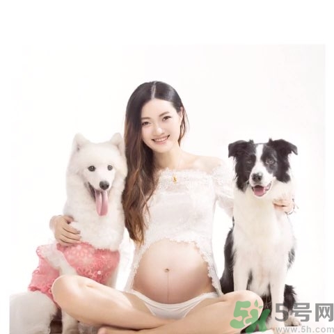 孕婦可以養狗嗎?養狗對孕婦有影響嗎? 孕婦可以養狗嗎?養狗對孕婦有影響嗎?