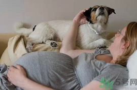 孕婦可以養狗嗎?養狗對孕婦有影響嗎? 孕婦可以養狗嗎?養狗對孕婦有影響嗎?