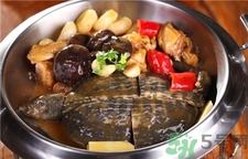 甲魚的營養價值 甲魚的功效與作用