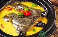 甲魚的營養價值 甲魚的功效與作用
