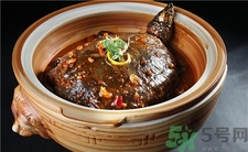 甲魚的營養價值 甲魚的功效與作用