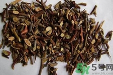 皂角刺的藥用價值是什么？皂角刺的功效與作用有哪些？