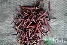 皂角刺的藥用價值是什么？皂角刺的功效與作用有哪些？