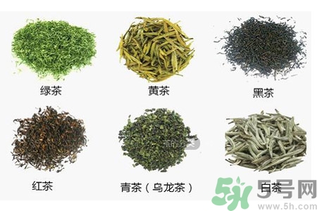 如何自制減肥茶？自制減肥茶需要哪些材料？