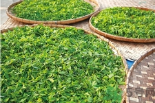 如何自制減肥茶？自制減肥茶需要哪些材料？
