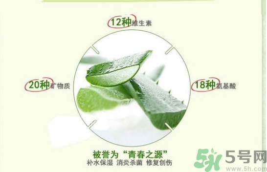 the saem得鮮和自然樂園哪個好？得鮮的蘆薈膠和自然樂園哪個好？