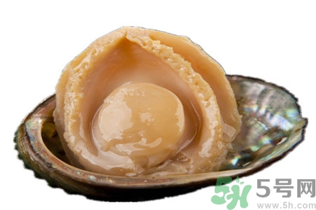 鮑魚的營養(yǎng)價值有哪些？鮑魚的藥用價值是什么？
