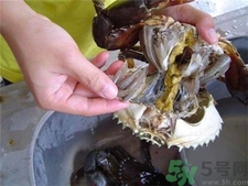 螃蟹怎么洗?螃蟹的清洗方法 螃蟹怎么洗?螃蟹的清洗方法