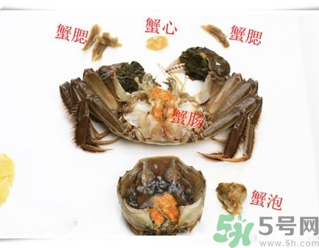 螃蟹哪些部位不能吃?螃蟹哪些地方不能吃? 螃蟹哪些部位不能吃?螃蟹哪些地方不能吃?