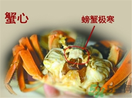 螃蟹哪些部位不能吃?螃蟹哪些地方不能吃? 螃蟹哪些部位不能吃?螃蟹哪些地方不能吃?