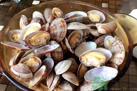 蛤蜊的食用方法有哪些？蛤蜊的營養價值是什么？