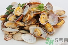 蛤蜊的食用方法有哪些？蛤蜊的營養價值是什么？