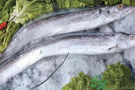 凍帶魚怎么解凍？帶魚內臟怎么洗？