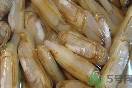蟶子怎么洗？新鮮蟶子怎么挑選？