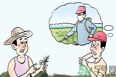 怎么洗掉水果上的農(nóng)藥？農(nóng)藥殘留的危害有哪些？