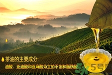 茶油是什么？茶油怎么吃？