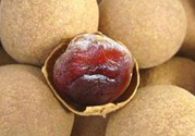 干桂圓吃多了會(huì)上火嗎？吃干桂圓上火怎么辦？