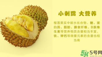 金枕頭榴蓮和普通榴蓮有什么區(qū)別？金枕頭榴蓮怎么挑？