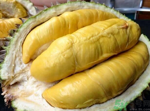 金枕頭榴蓮和普通榴蓮有什么區(qū)別？金枕頭榴蓮怎么挑？