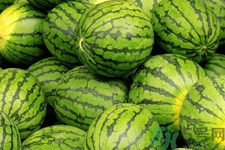 西瓜牛奶可以一起吃嗎？西瓜牛奶怎么做好吃？