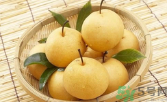 娃娃梨是怎么種出來的？娃娃梨為什么外形像娃娃？