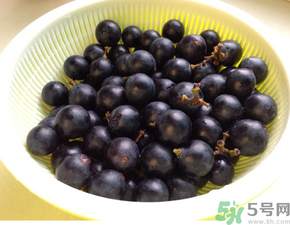 夏黑葡萄營(yíng)養(yǎng)價(jià)值 夏黑葡萄的功效與作用