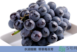 夏黑葡萄營(yíng)養(yǎng)價(jià)值 夏黑葡萄的功效與作用