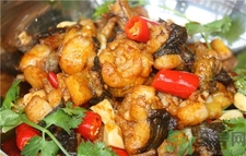 牛蛙是發物嗎?手術后可以吃牛蛙嗎?