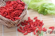 枸杞子泡酒怎么泡？枸杞酒的制作方法是什么？