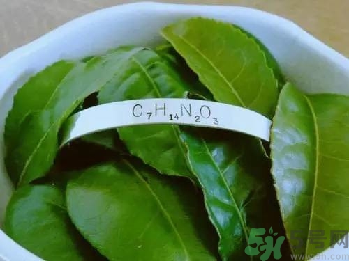睡眠水為什么可以讓人入睡？可口可樂睡眠水有什么副作用？