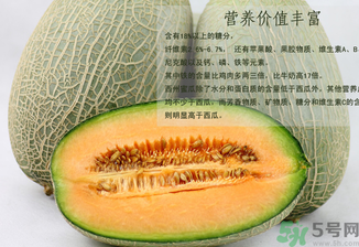 西州蜜瓜怎么吃?西州蜜瓜的食用方法 西州蜜瓜怎么吃?西州蜜瓜的食用方法