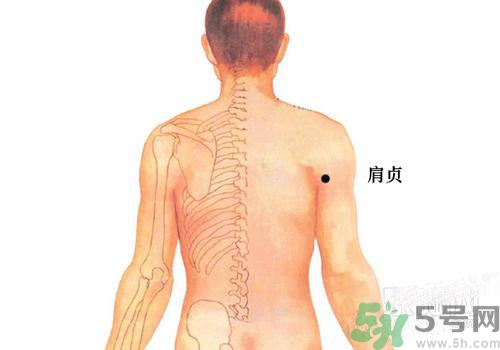 肩周炎艾灸有用嗎？肩周炎艾灸哪些部位？