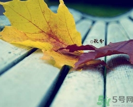秋分出生的人怎么起名？秋分出生的人的命運？