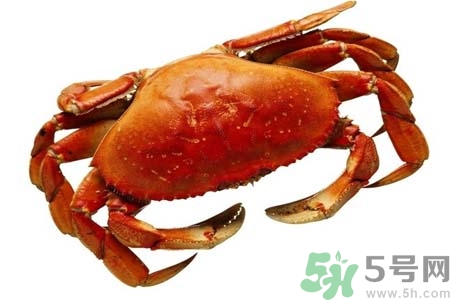 大閘蟹是發(fā)物嗎？哪些人不宜吃大閘蟹？