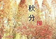 秋分出生的人怎么起名？秋分出生的人的命運？