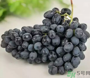 黑加侖的營養價值 黑加侖的功效與作用