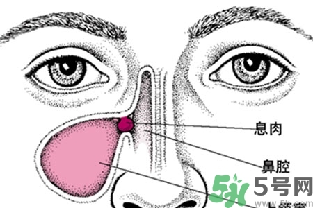 鼻子不通氣是怎么回事？鼻子不通氣怎么辦？