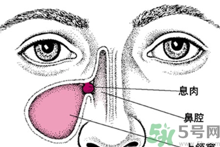鼻子出血怎么辦？鼻子出血的原因是什么？
