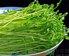 豌豆苗的營養價值 豌豆苗的功效與作用