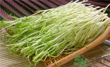 豌豆苗的營養價值 豌豆苗的功效與作用