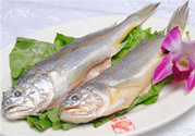小黃魚的營養價值 小黃魚的功效與作用