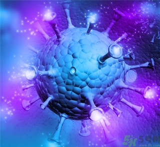 寨卡病毒蚊子如何預防？怎么預防寨卡病毒蚊子？