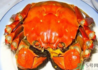 大閘蟹什么季節吃最好？吃大閘蟹的季節