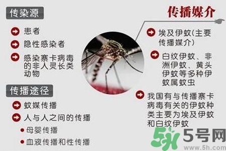 寨卡病毒會死人嗎？寨卡病毒會死嗎？