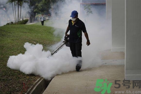 寨卡病毒會死人嗎？寨卡病毒會死嗎？