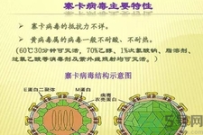 寨卡病毒對孕婦有危害嗎？寨卡病毒對孕婦的危害有哪些？