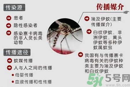寨卡病毒對孕婦有危害嗎？寨卡病毒對孕婦的危害有哪些？