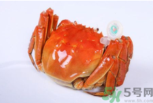 陽澄湖大閘蟹怎么做好吃？陽澄湖大閘蟹的做法